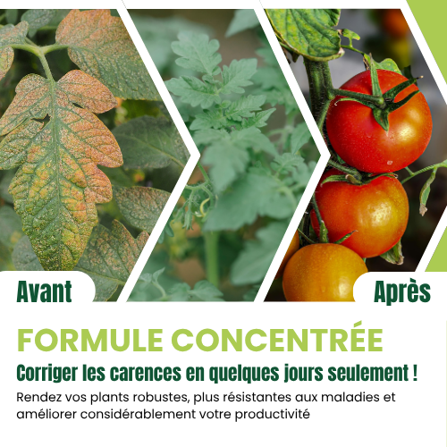 Power Plant Fertilizer - Engrais 100% Organique - Explications Power Plant