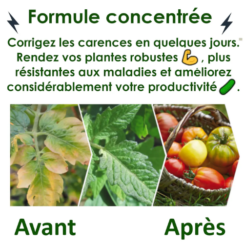 Power Plant Fertilizer - Engrais Bio Organique - Arguments