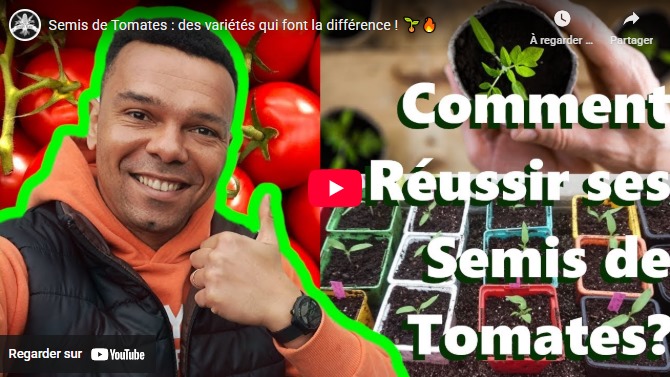 Power Plant Fertilizer - Réussir ses semis de tomates